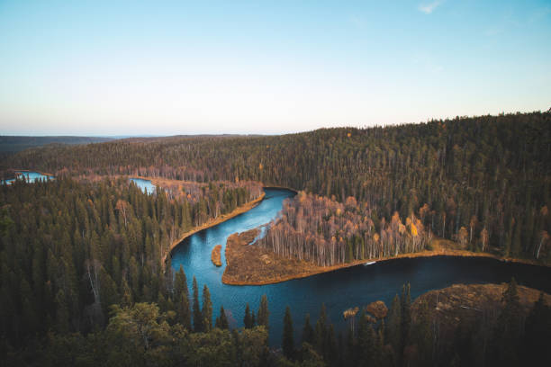 Bend in the Kitkajoki River in Oulanka National Park in northern Finland during sunset. Autumn spruce forest with blue river forming a snake. Suomi nature stock photo