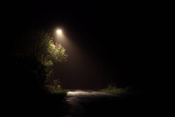 istock a streetlight isolated in the night 1363641207