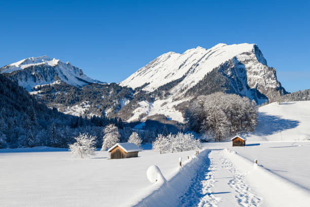 istock Snow-covered landscape in the mountains 1363642033