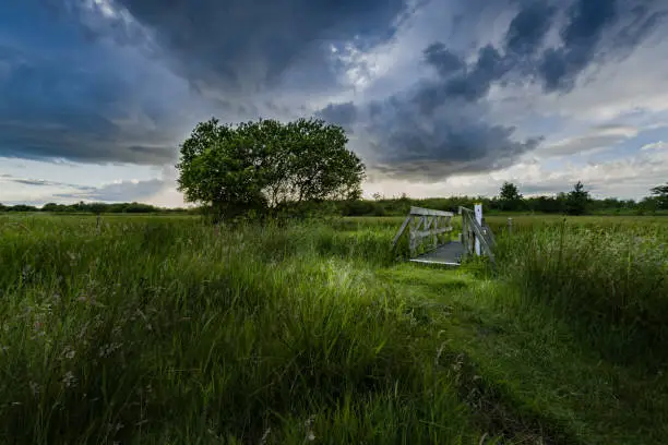 Thunderclouds over meadow and footbridge- Strumpshaw, July 2016