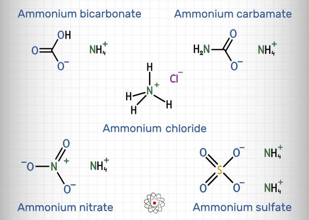 Ammonium salts: ammonium bicarbonate, ammonium carbamate, ammonium sulfate, ammonium nitrate, ammonium chloride molecule. Skeletal chemical formula. Sheet of paper in a cage Ammonium salts: ammonium bicarbonate, ammonium carbamate, ammonium sulfate, ammonium nitrate, ammonium chloride molecule. Skeletal chemical formula. Sheet of paper in a cage. Vector illustration ammonium nitrate stock illustrations