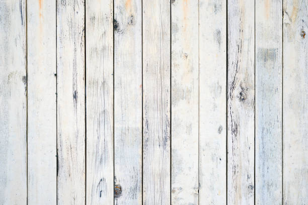istock White wooden planks in fence 1363644922