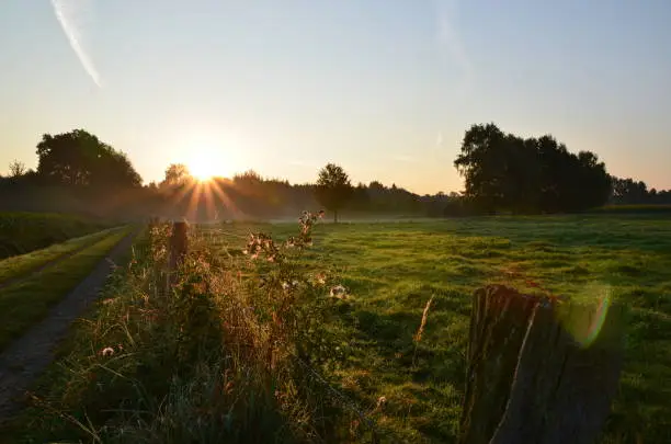 Mist on a sunny summer morning