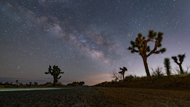 istock Milky Way Nights in Joshua Tree 1363646123