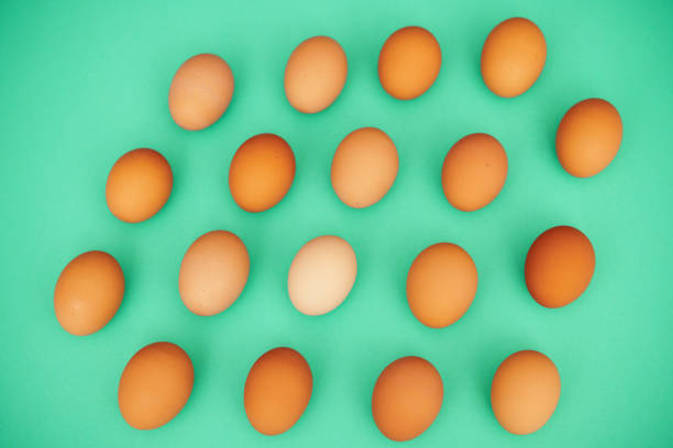 Organic brown eggs in a green carton on a green background. Copy space at the bottom of the frame.