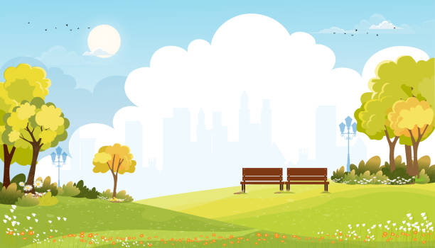 stockillustraties, clipart, cartoons en iconen met spring landscape at city park in the morning, natural public park with flowers blooming in the garden, peaceful scene of green fields with blurry cityscape building, cloudy and sun on summer - park