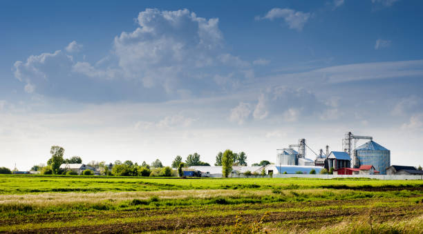 istock steel grain elevator tanks stand next to a rapeseed field 1363656554