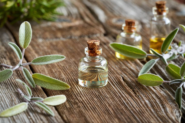 istock A bottle of sage essential oil with fresh sage 1363661650