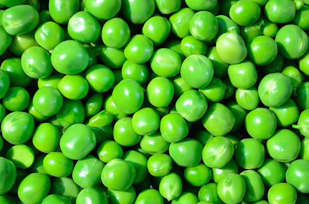 Green peas stock photo