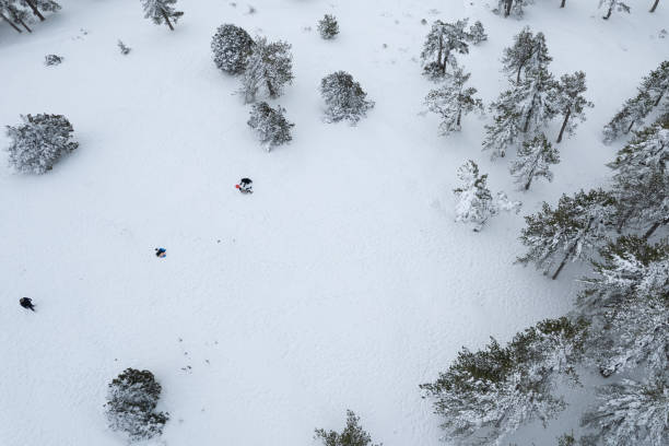istock Drone aerial scenery treetops covered in snow in snowy forest. 1363663372