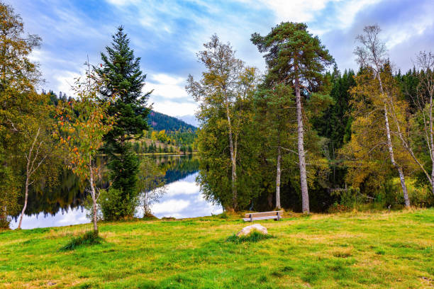 istock Bench by the glacial lake 1363663800