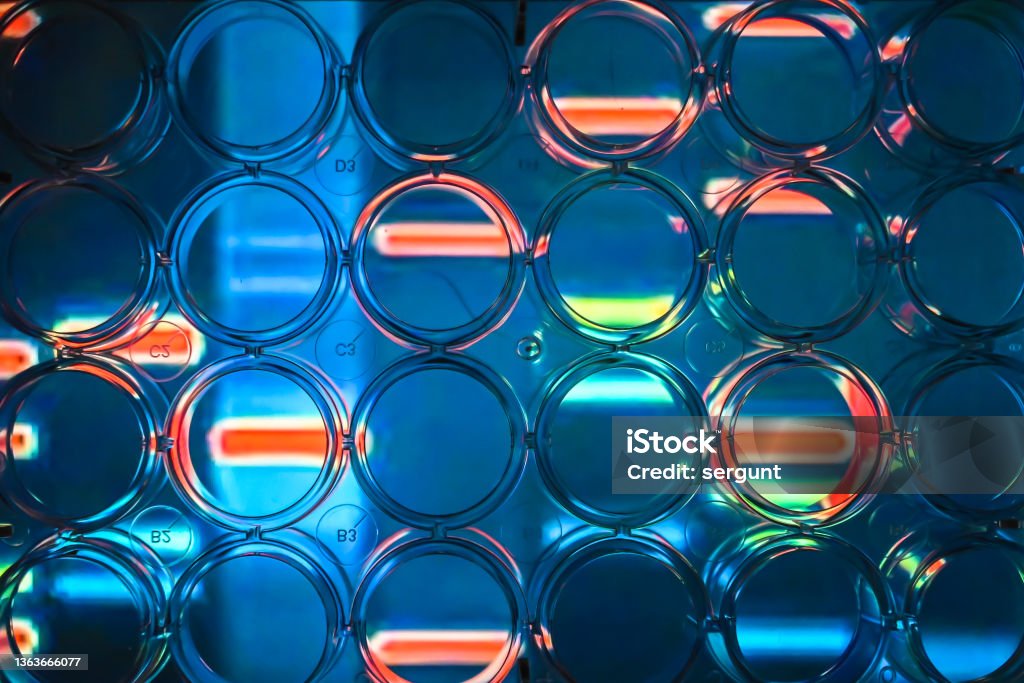 Abstract background - genome research. Abstract background - genome research. A look through a 24-well plate. Genomics Stock Photo