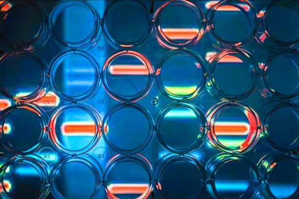 Abstract background - genome research. Abstract background - genome research. A look through a 24-well plate. genomics stock pictures, royalty-free photos & images