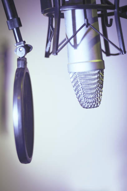 istock Professional microphone suspended in the air 1363667110
