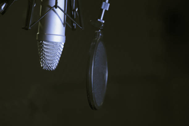 istock Professional microphone suspended in the air 1363667119