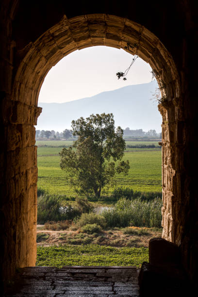 istock Landscape with tree framed by ancient arch in Miletus, Turkey 1363669707