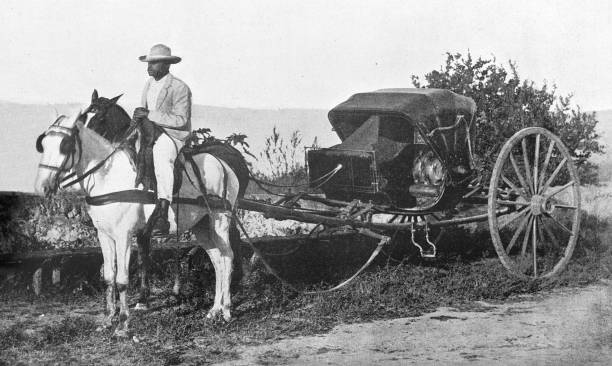 istock Horsedrawn carriage in Cuba for public transportation 1898 1363669915