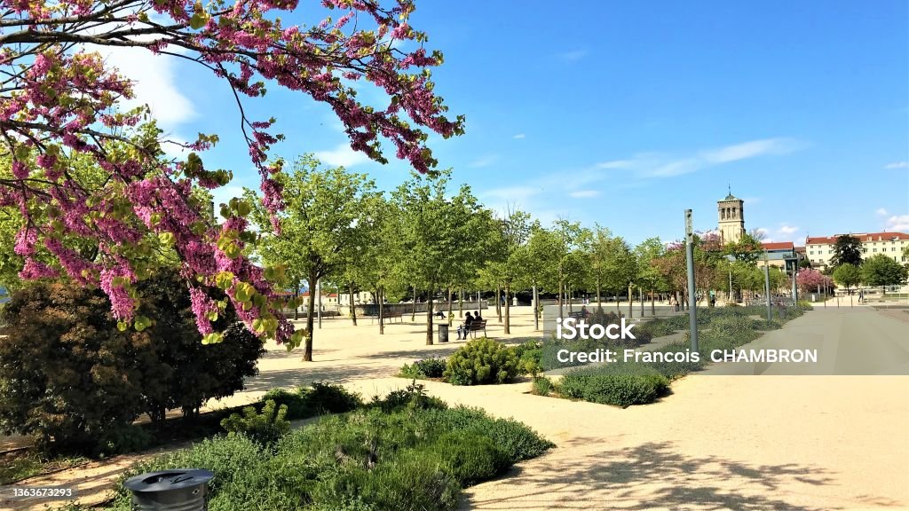 Valence Champs de Mars in Drôme France with Saint-Apollinaire Cathedral Valence Champs de Mars landscape in Drôme France with Saint-Apollinaire Cathedral in the background , flowering trees on a sunny blue sky Architecture Stock Photo