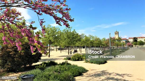 Valence Champs De Mars In Drôme France With Saintapollinaire Cathedral Stock Photo - Download Image Now