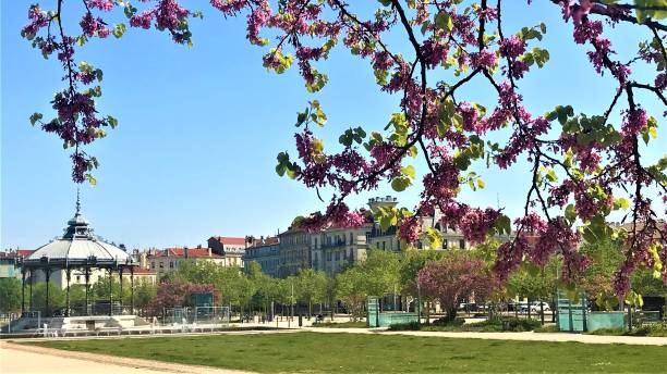 Valence France Champs de Mars and his Peynet Kiosque with pink flowered trees Champs de Mars square and his famous Peynet Kiosque for lovers with beautiful blue summer sky in Valence, Drôme, France, located in downtown Valence, built in 1862. drome stock pictures, royalty-free photos & images