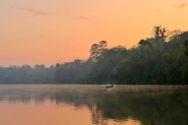 istock Lake Sandoval at hazy sunset in the Peruvian Amazon 1363676506
