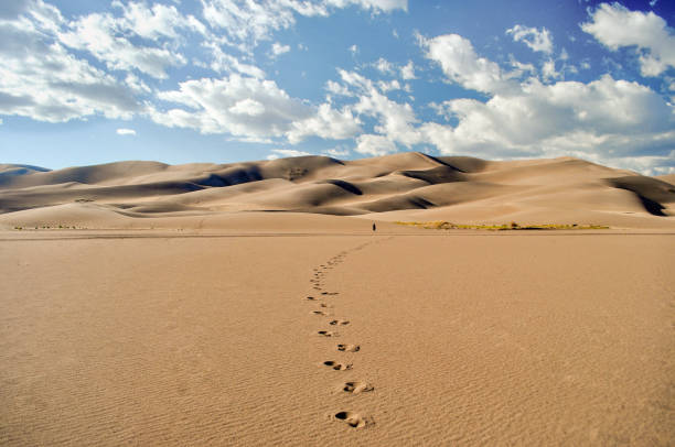 Man walks across desert towards sand dunes leaving distinct footprints behind The small figure of a man walks in the distance across a desert towards towering sand dunes leaving a trail of distinct footprints behind - Great Sand Dunes National Park, Colorado - USA great sand dunes national park stock pictures, royalty-free photos & images