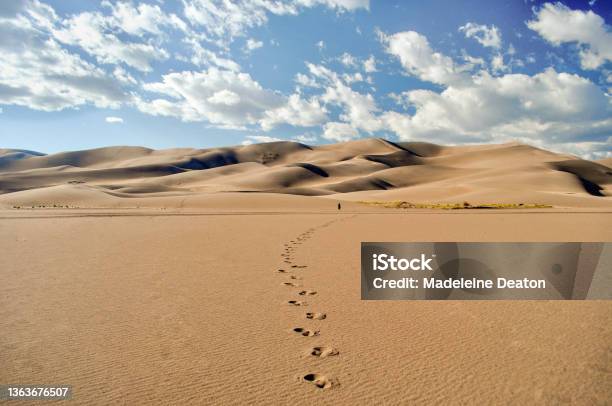 Man Walks Across Desert Towards Sand Dunes Leaving Distinct Footprints Behind Stock Photo - Download Image Now
