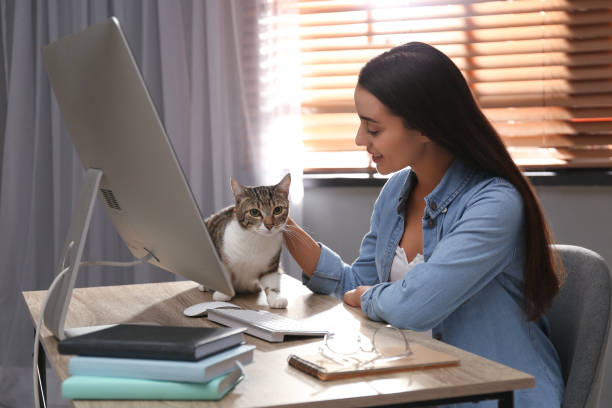 istock Young woman stroking cat at table. Home office concept 1363677816