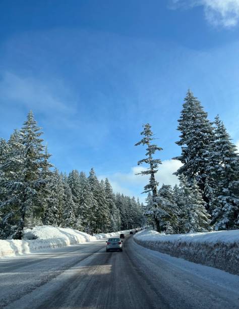 istock Icy Road to the Mountains 1363677866