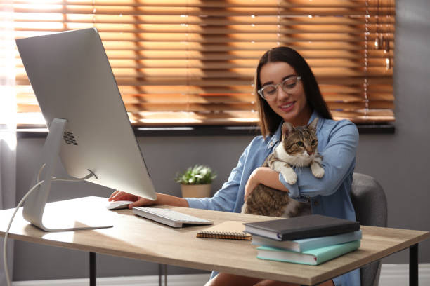 istock Young woman with cat working on computer at table. Home office concept 1363678810