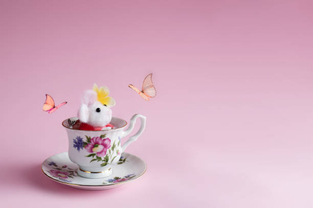 istock Woolly mouse in the cup plays with the butterfly 1363679033