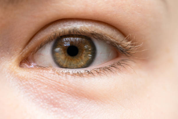 istock Close-up of female eyes without make-up 1363681914
