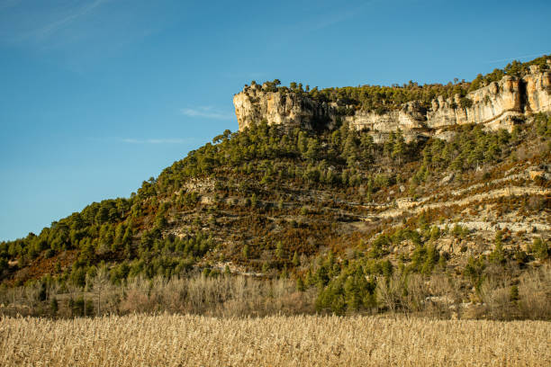 Rocks and Field stock photo