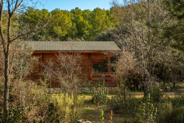 istock Cabin in the Woods 1363682899