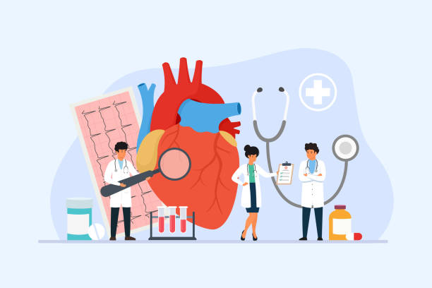 인간의 내부 장기 치료 및 진단. 헬스케어 개념의 벡터 일러스트레이션. - stethoscope human cardiovascular system pulse trace healthcare and medicine stock illustrations