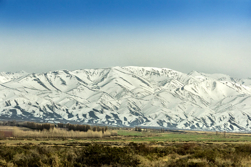 Valleys at the foot of the Andes, where agriculture and livestock are developed. Neuquén, Patagonia, Argentina.