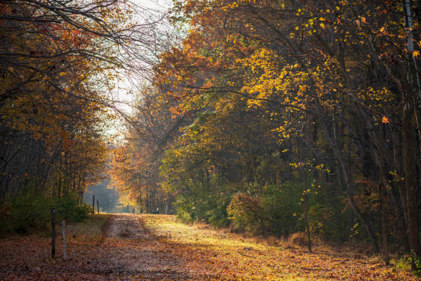 istock Trail in Autumn at Plainsboro Preserve 1363693315