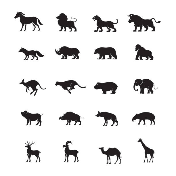 ilustraciones, imágenes clip art, dibujos animados e iconos de stock de conjunto de iconos de logotipo de animales - tapir