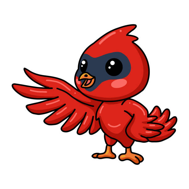 Cute baby cardinal bird cartoon presenting Vector illustration of Cute baby cardinal bird cartoon presenting cardinal mascot stock illustrations