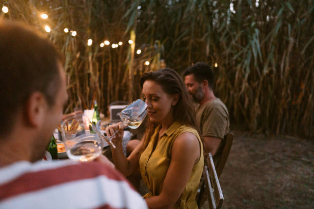 istock Summer dinner party with my friends 1363697652