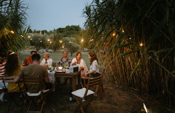 istock Friends having a summer dinner party 1363697662