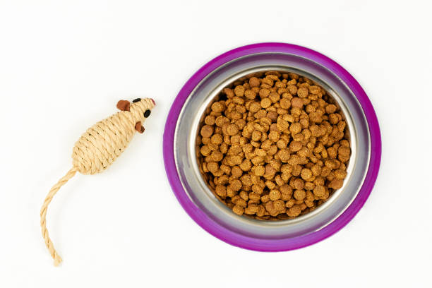 Dry cat food in bowl and cat toy on white background Cat food Top view stock photo