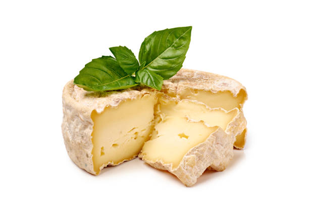 istock Delicatessen soft cheese with basil leaves on white 1363700403