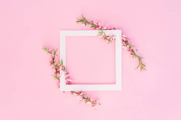 istock White frame with blossoming branches of an apple tree on pink background 1363700771