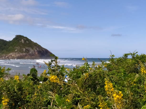 beach landscape stock photo