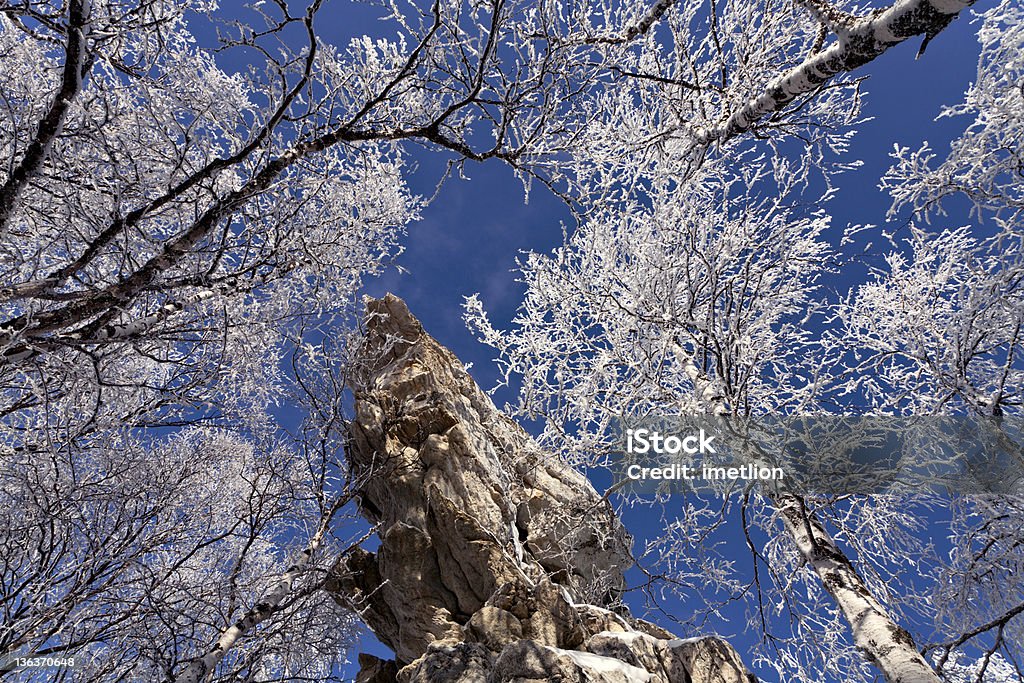 Rock e árvores congeladas - Royalty-free Ao Ar Livre Foto de stock
