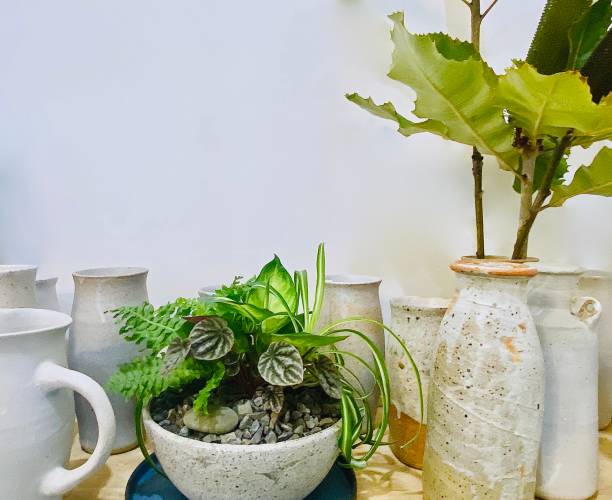 istock Hand Crafted Ceramics with Plants 1363707379