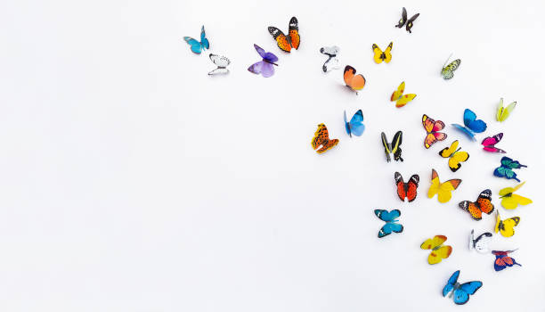 istock Photo of decorative butterflies pattern isolated on white background with copy space. Fresh spring summer beautiful season flat lay and top view, freedom vivid happiness concept banner 1363713380