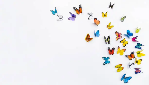 Photo of Photo of decorative butterflies pattern isolated on white background with copy space. Fresh spring summer beautiful season flat lay and top view, freedom vivid happiness concept banner