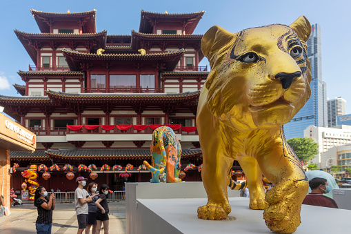 Singapore, Singapore - January 9, 2022: A gold-coloured tiger is placed before the Buddha Tooth Relic Temple in Chinatown as part of a Chinese New Year display. 2022 marks the start of the Year of the Tiger.